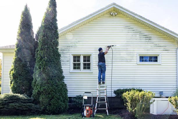 Fence Pressure Washing